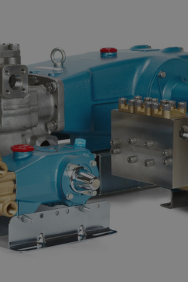 Cat Pums 공식 유통업체