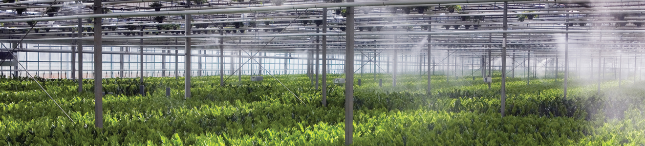 SB-Misting-Cooling-Fogging-Markets