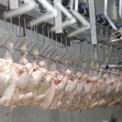 tool-knife-blade-cleaning